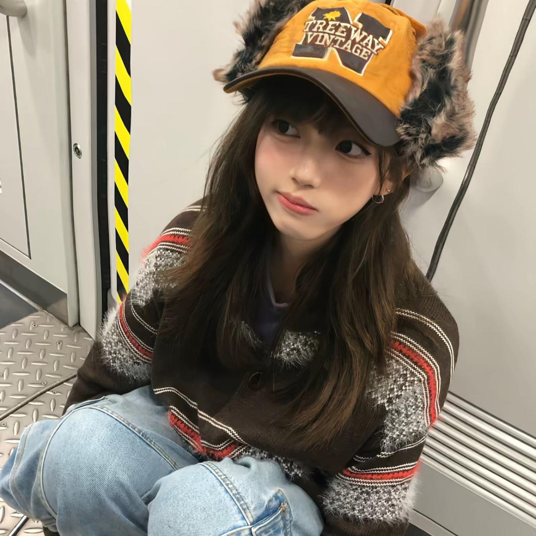 老鼠美美