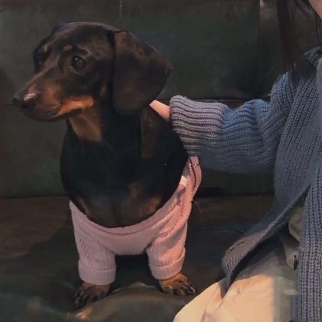 🎀