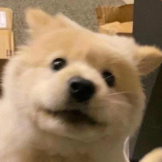 谦虚内敛的年轻人