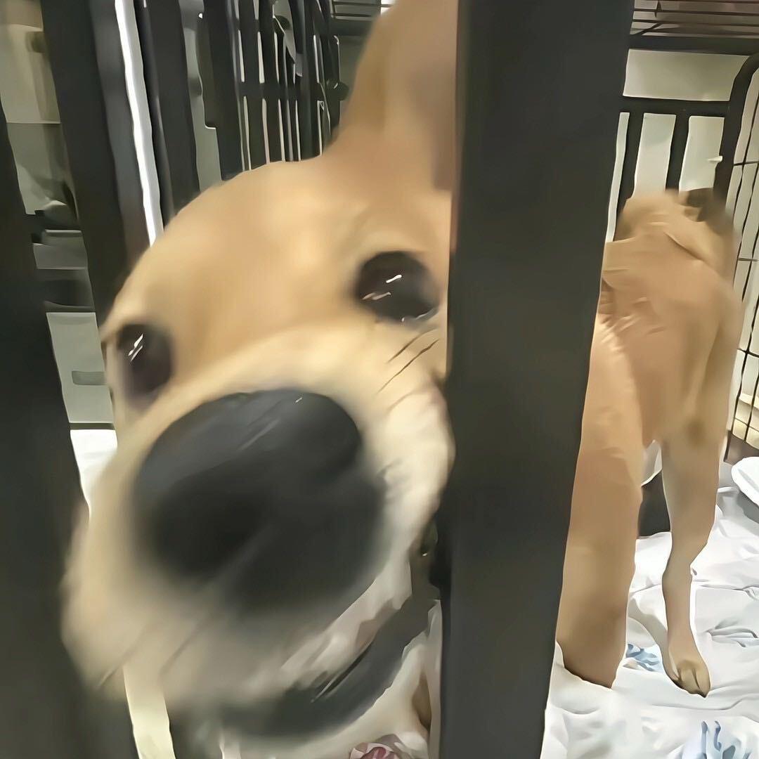 腼腆内向小男孩