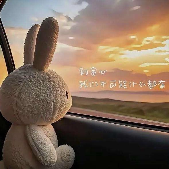 ˎˊ˗ 许我耀眼 ʺ̤