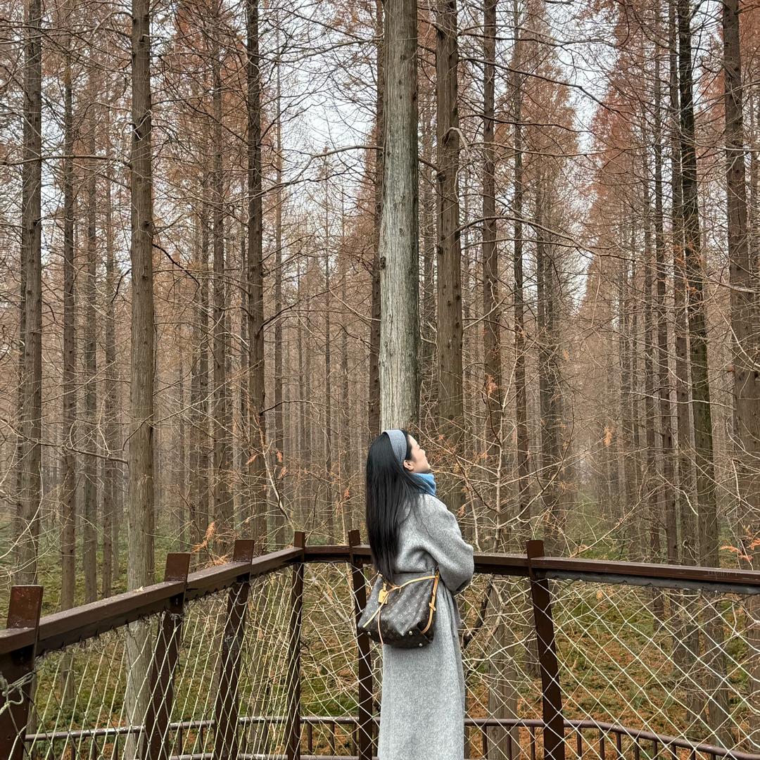 滨海轻松鼠小孟