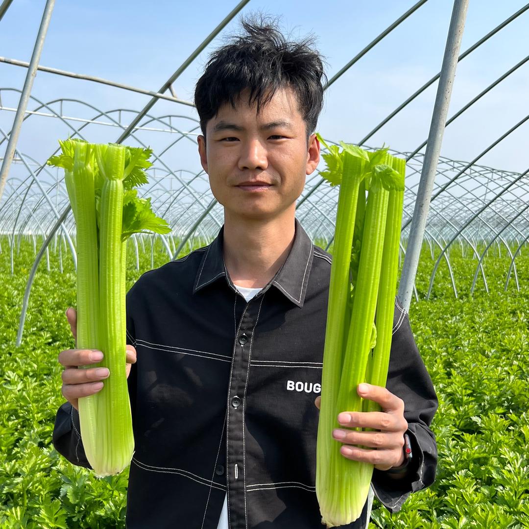 富贵和胖
