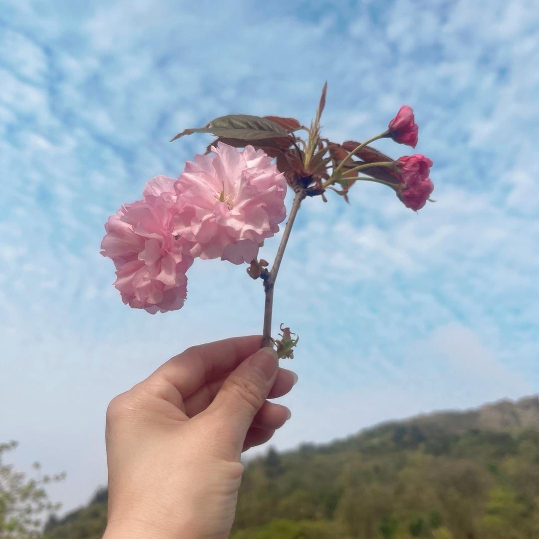 人生🍒如梦