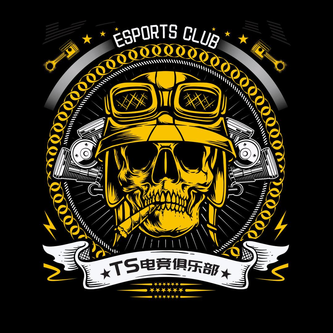 TS电竞俱乐部（暗区突围pc）招绿玩
