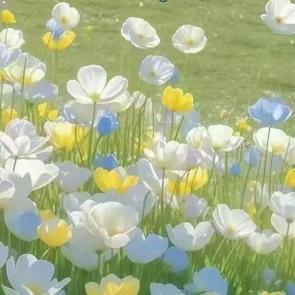 御颜美学～