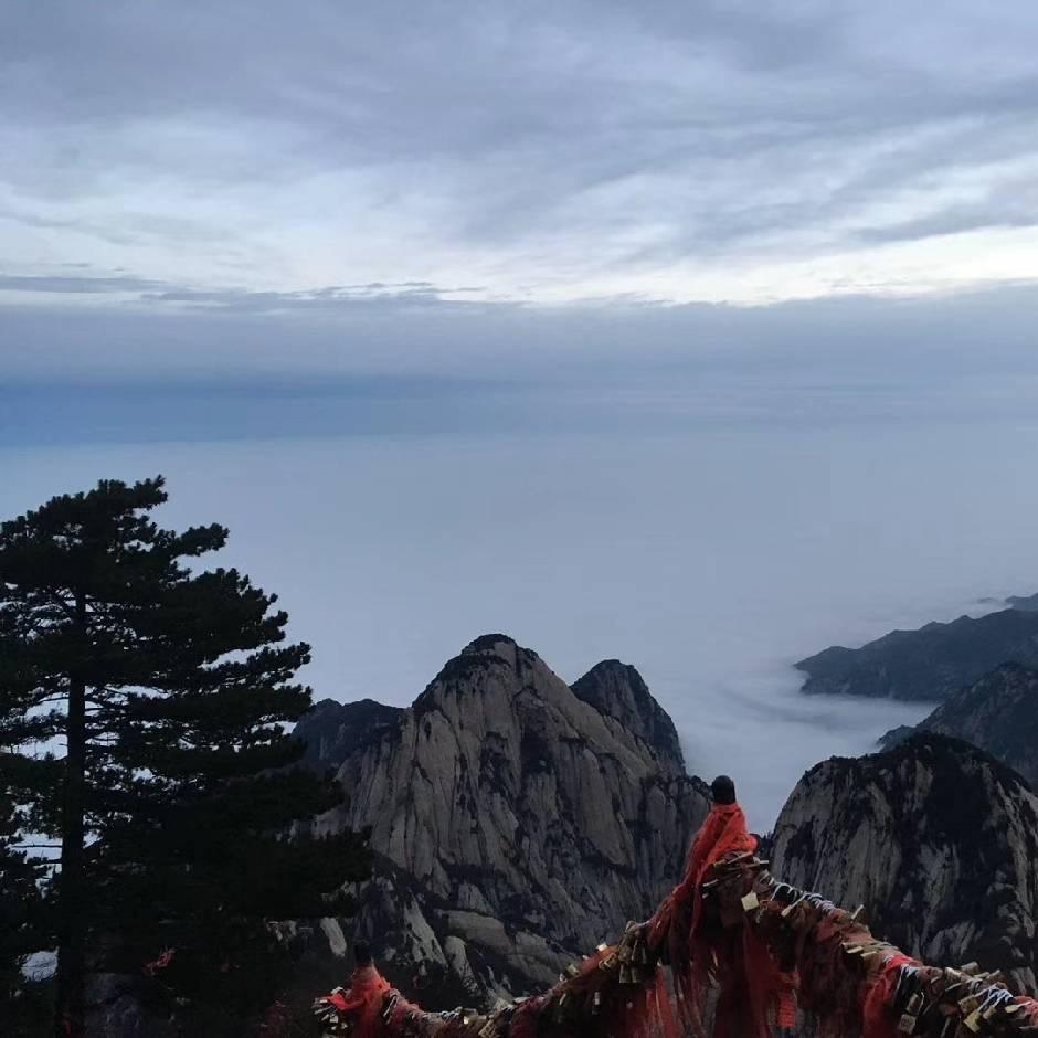 应该起个什么名字好啊