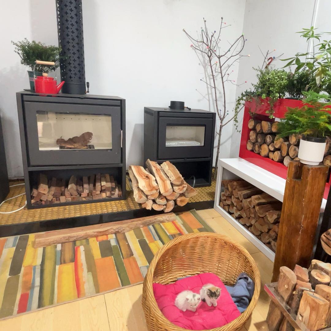 🐱🐱贩卖人间温暖