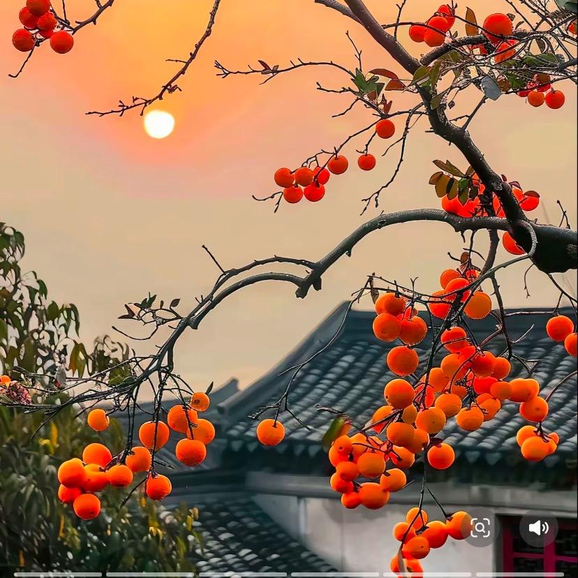 有问题私信找我