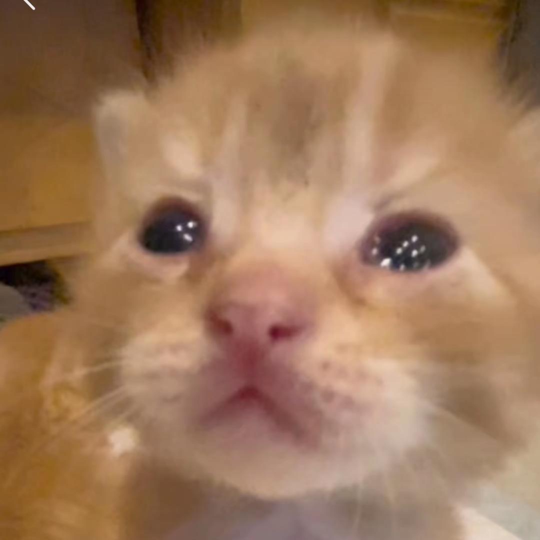兜兜姐