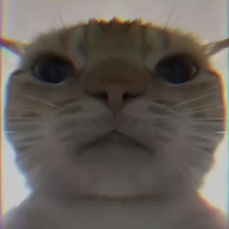 狡猾的农村入