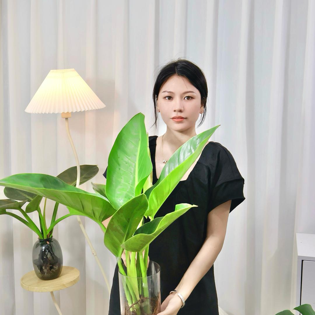 植物陶园Plant
