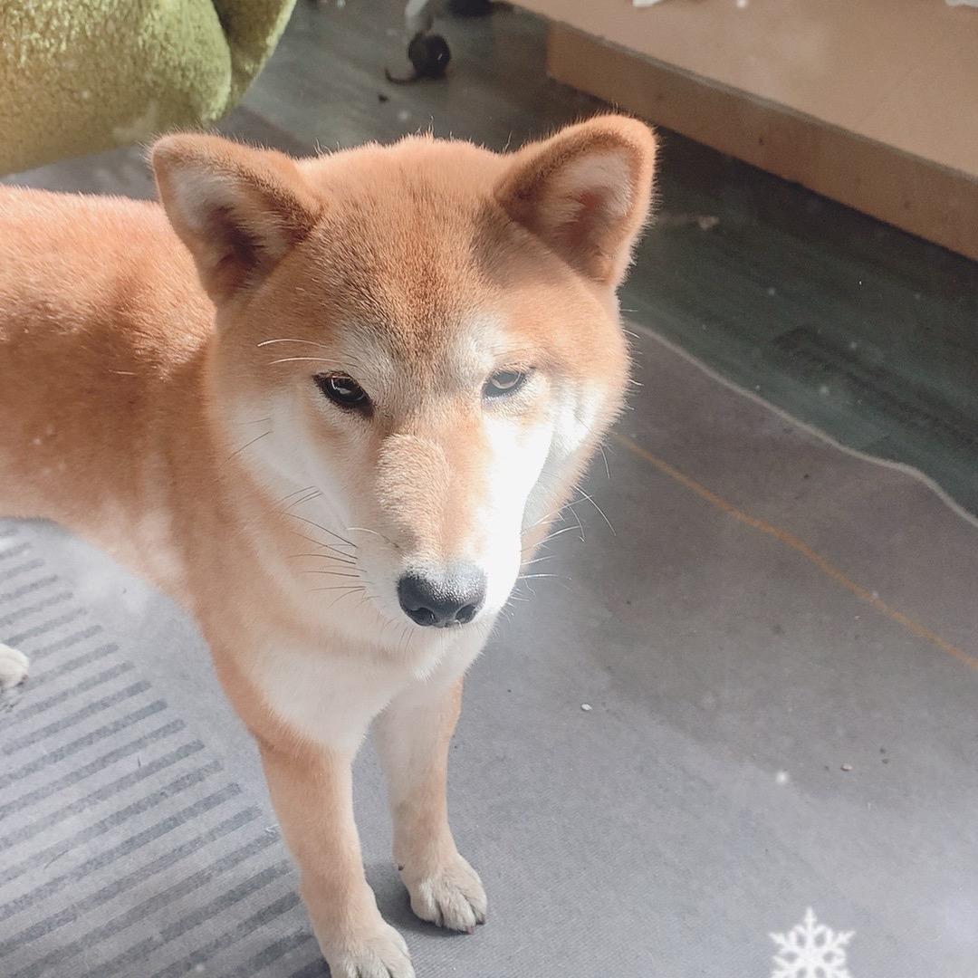 手工晴