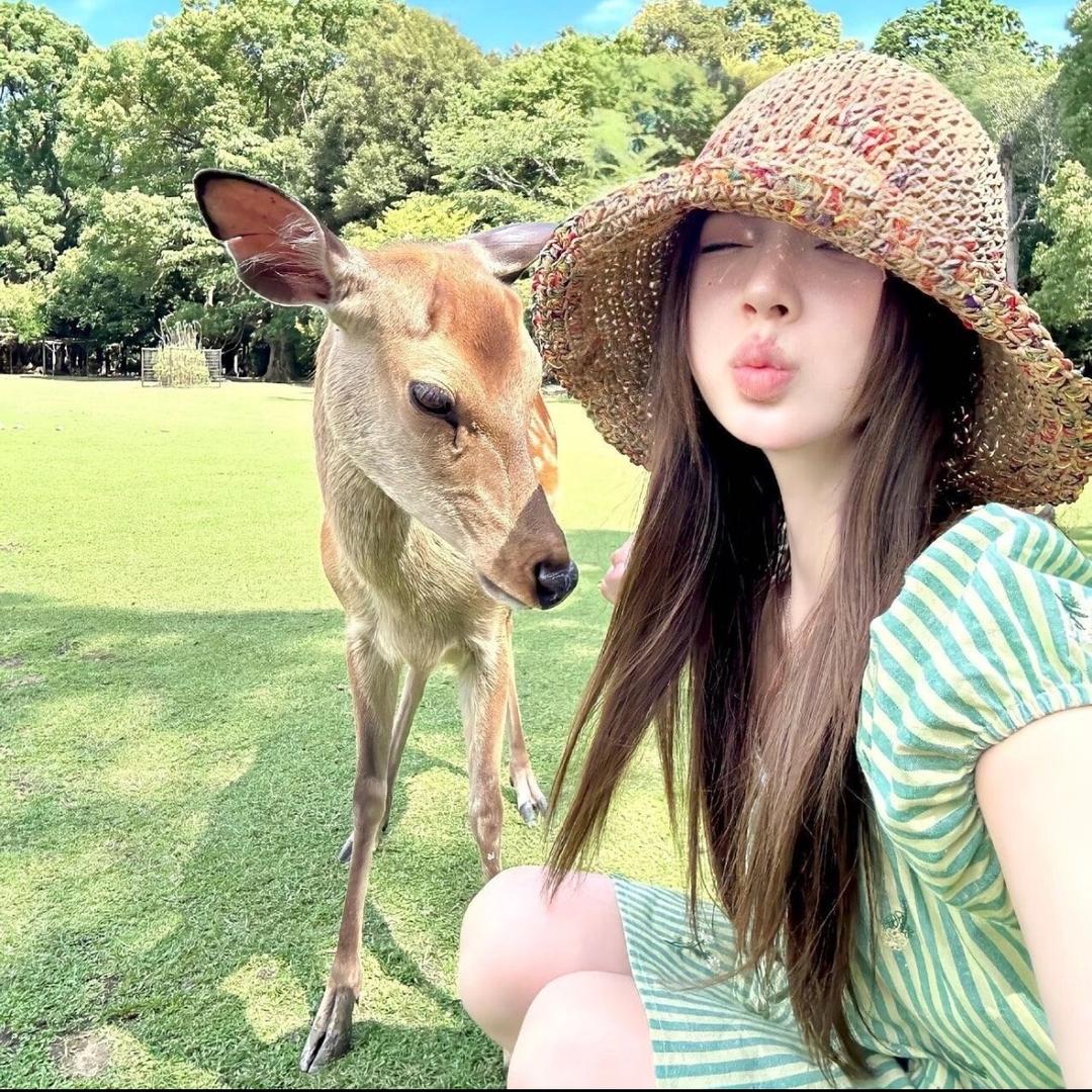 菜菜不柴