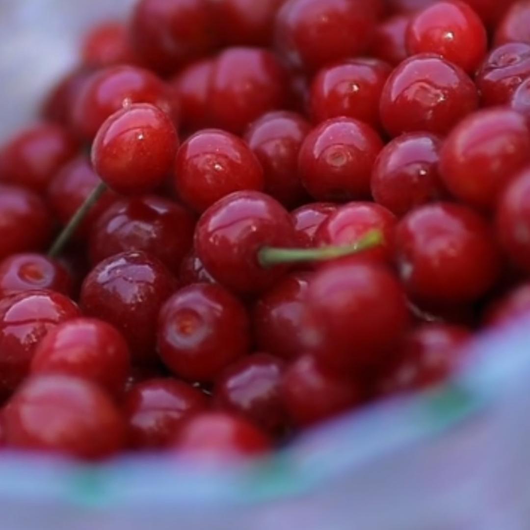 郑州樱桃沟～牛牛果园