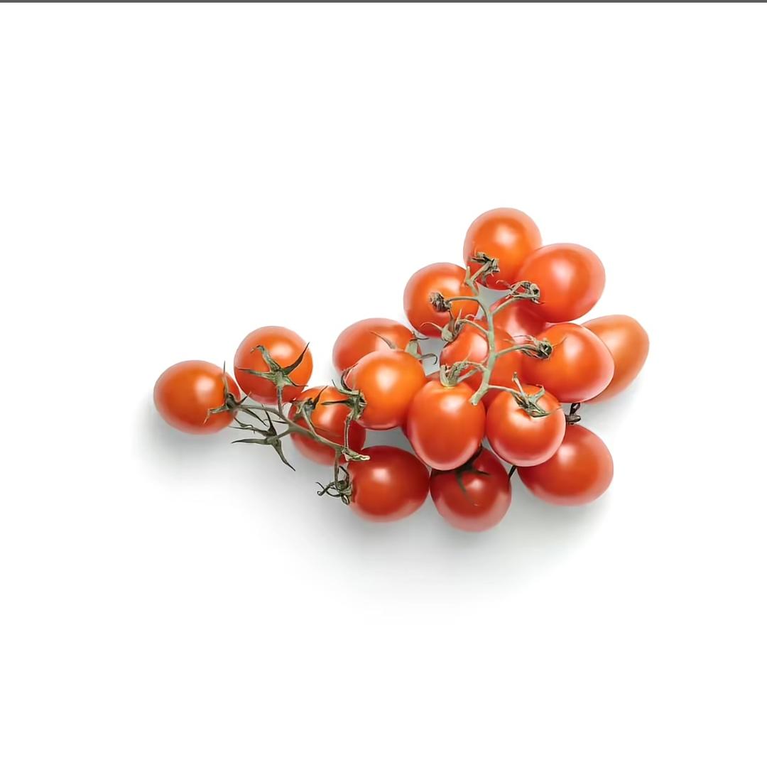 五月是只布偶猫