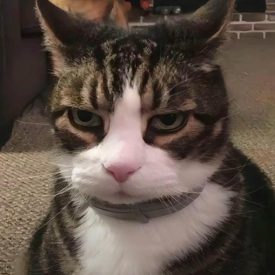 不开欣