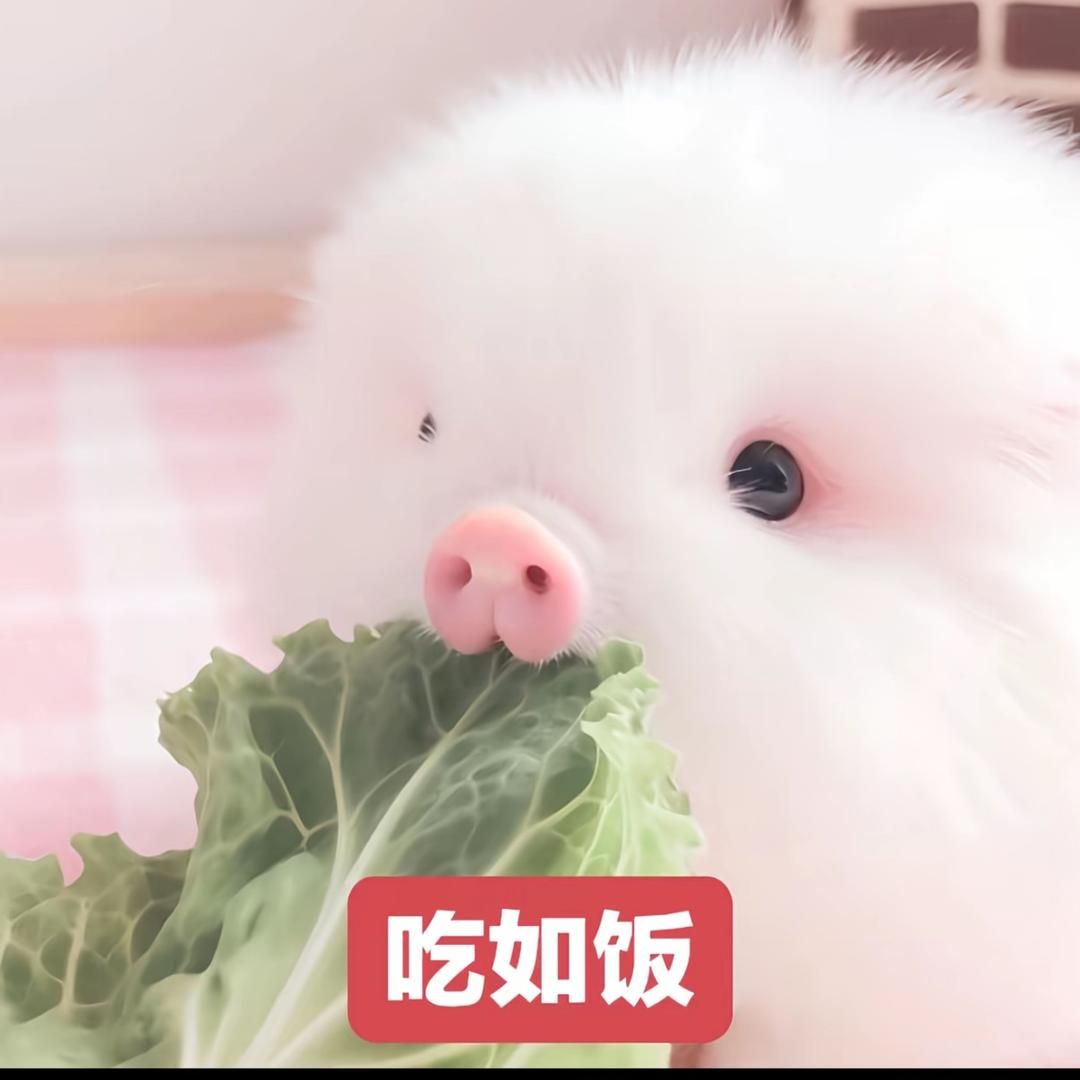一只复小临