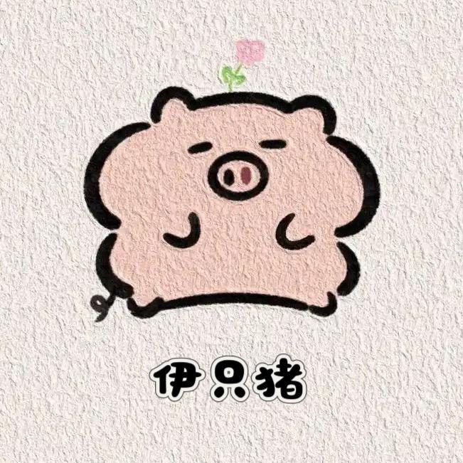伊只猪童装2号店