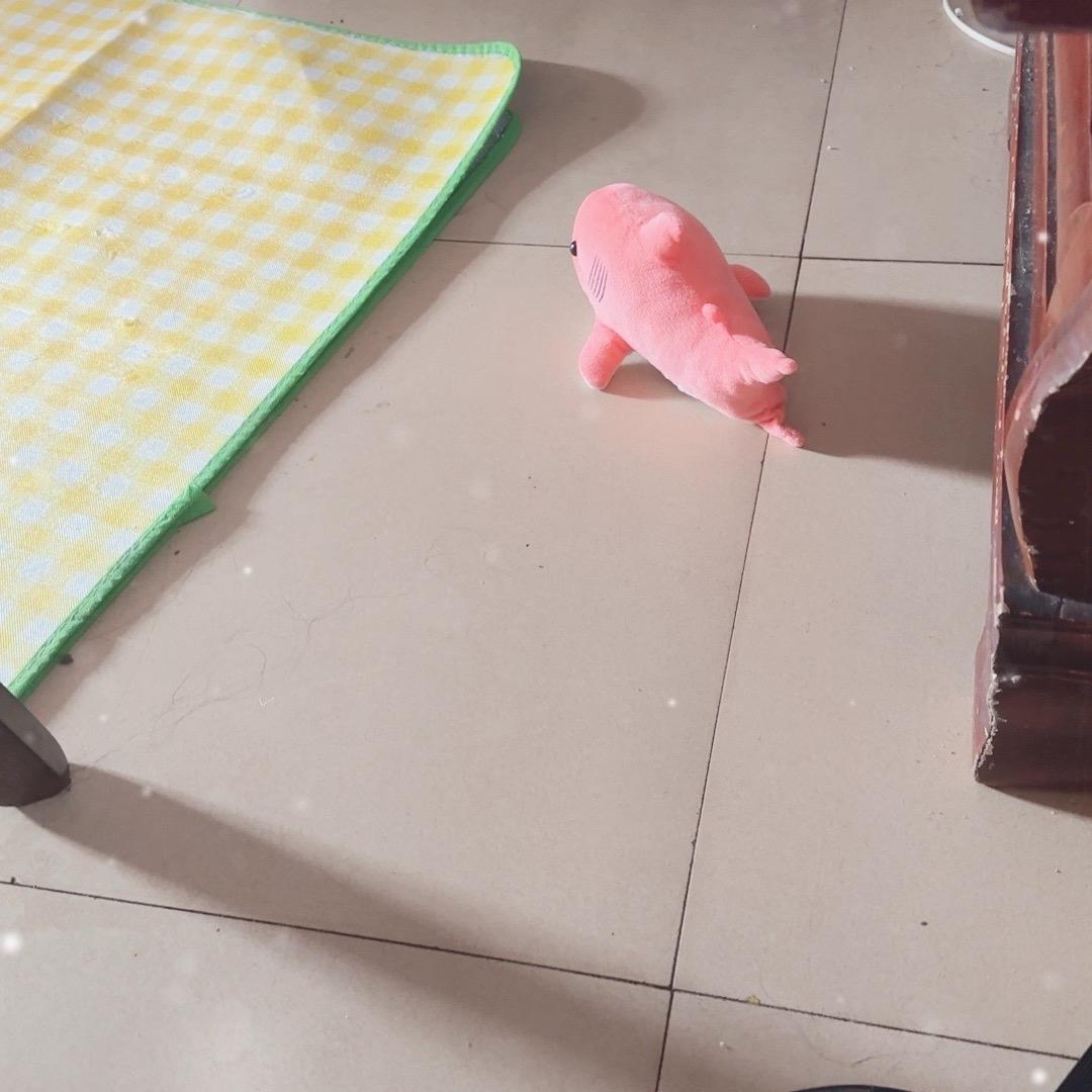 这就是命