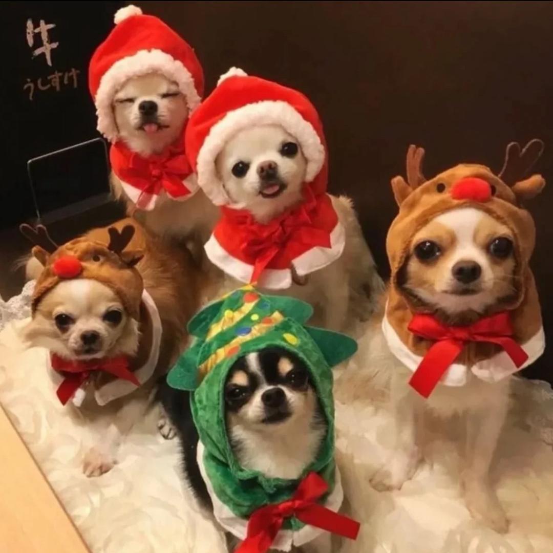 哥只是传说”