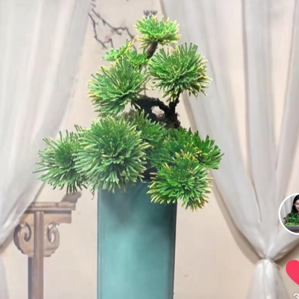 花千古
