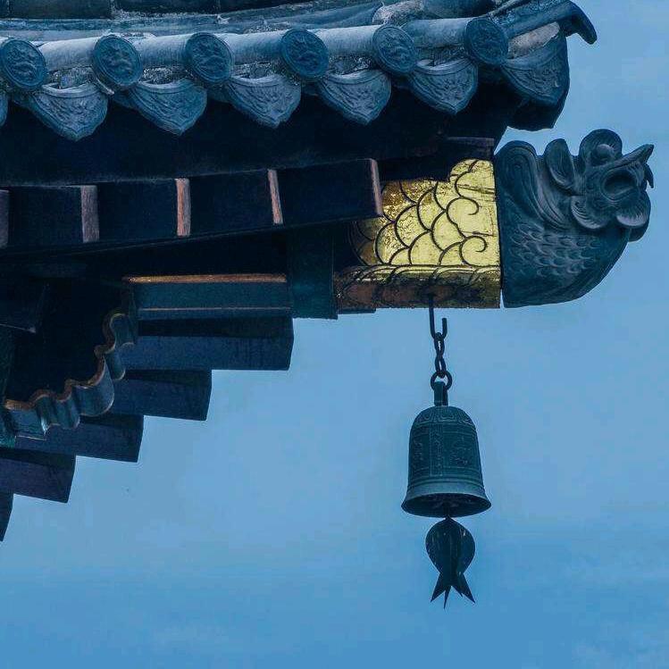 青灯说蛇