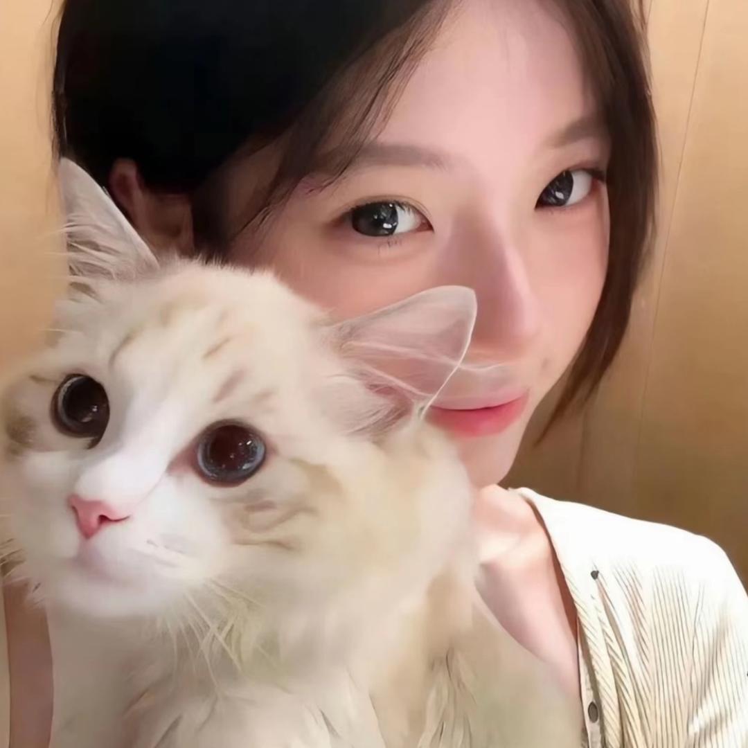 凤梨罐头