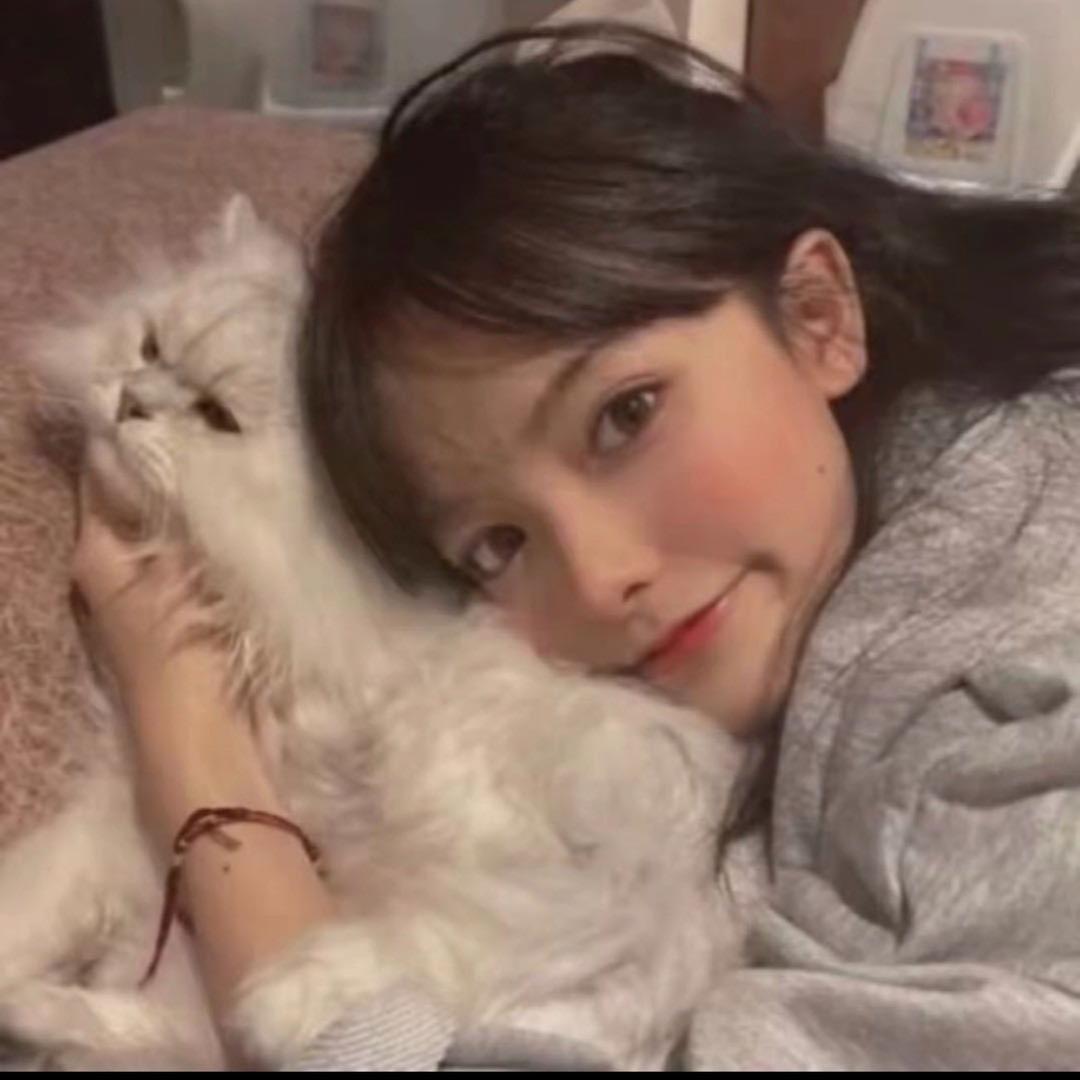 爱吃鼠饼