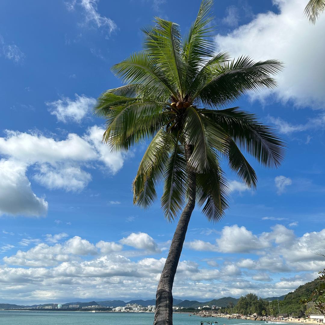 海是倒过来的天
