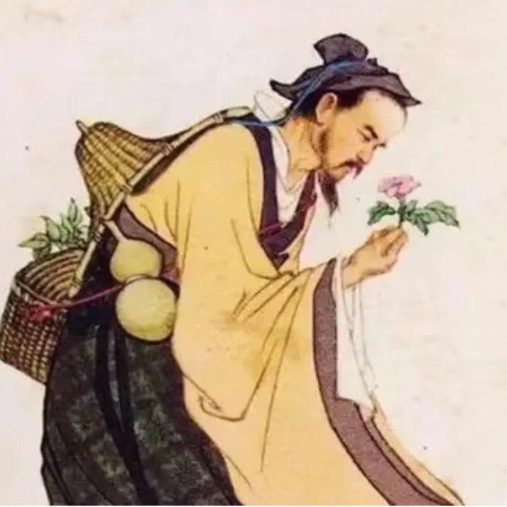 速朝商贸