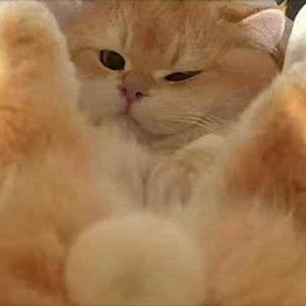 提示： 因直播内容低俗1分钟后将强制下播