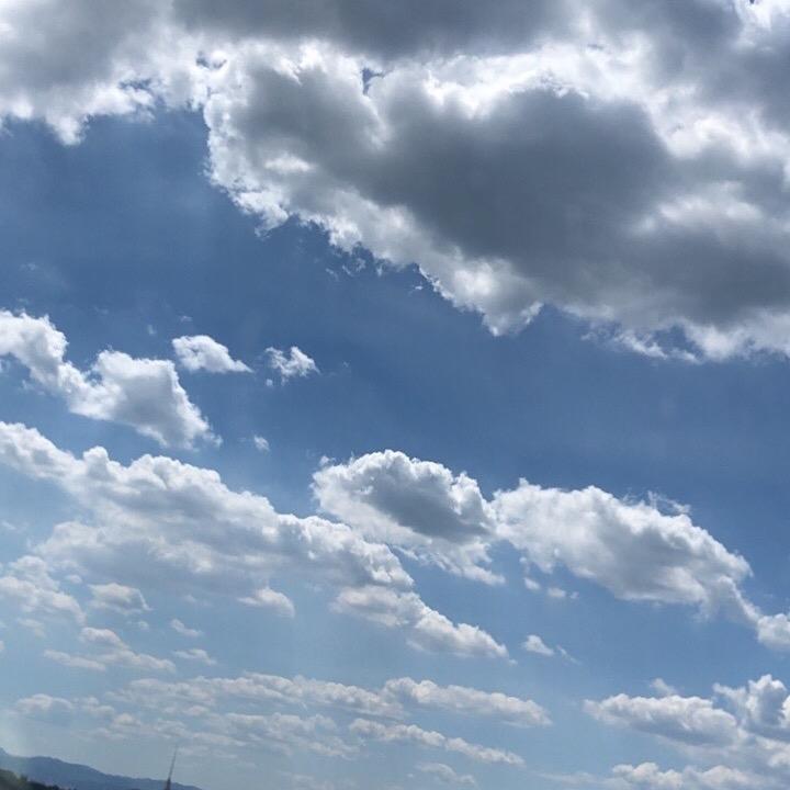 静葔椛开