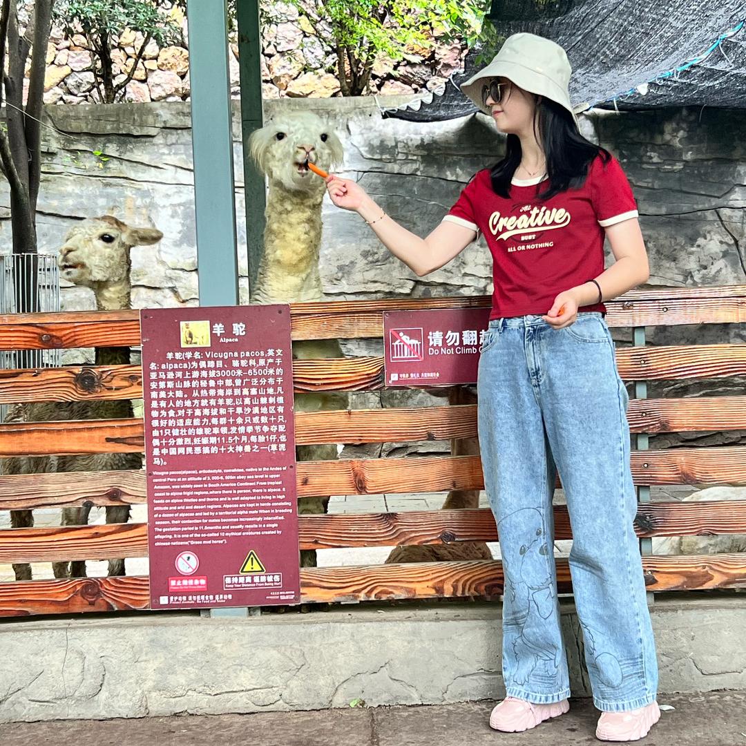吴肉不欢