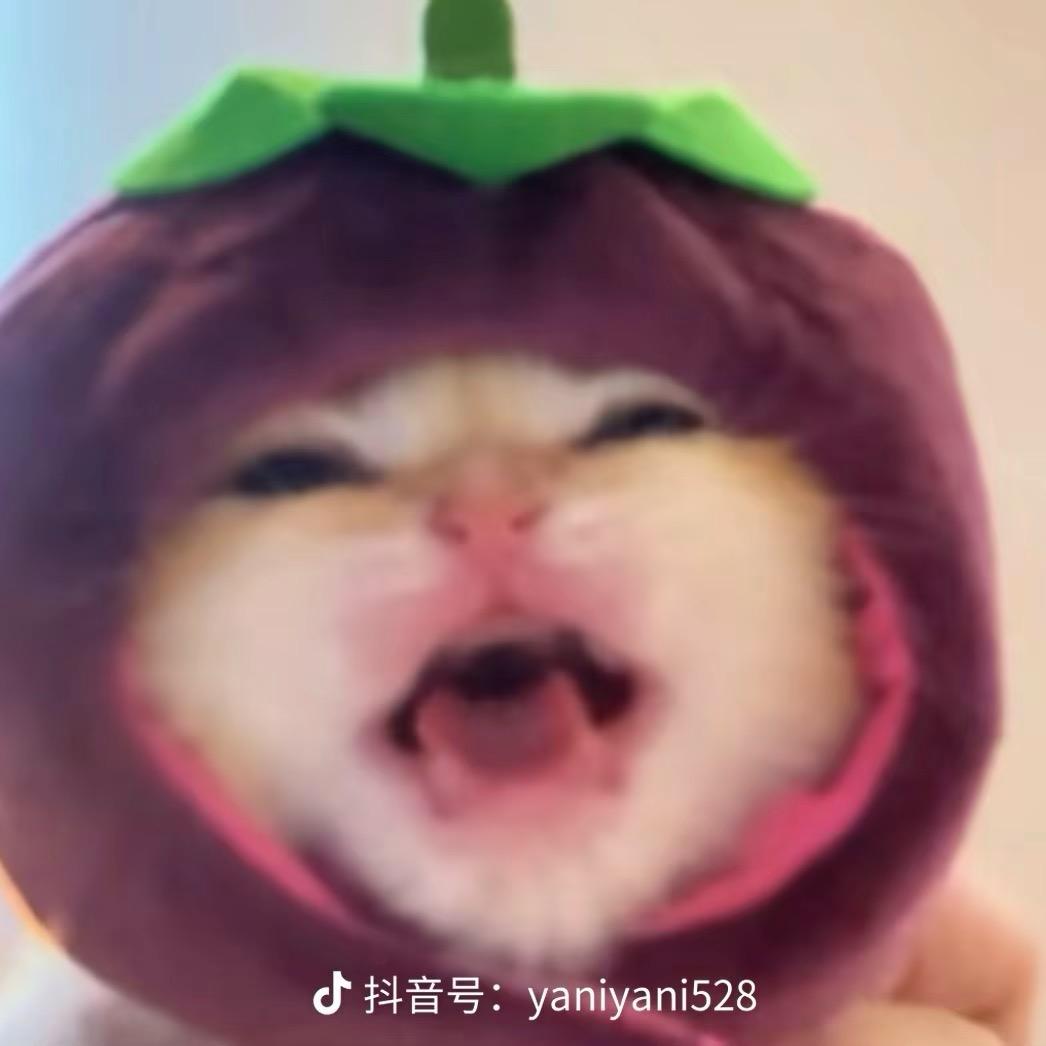 八个条子