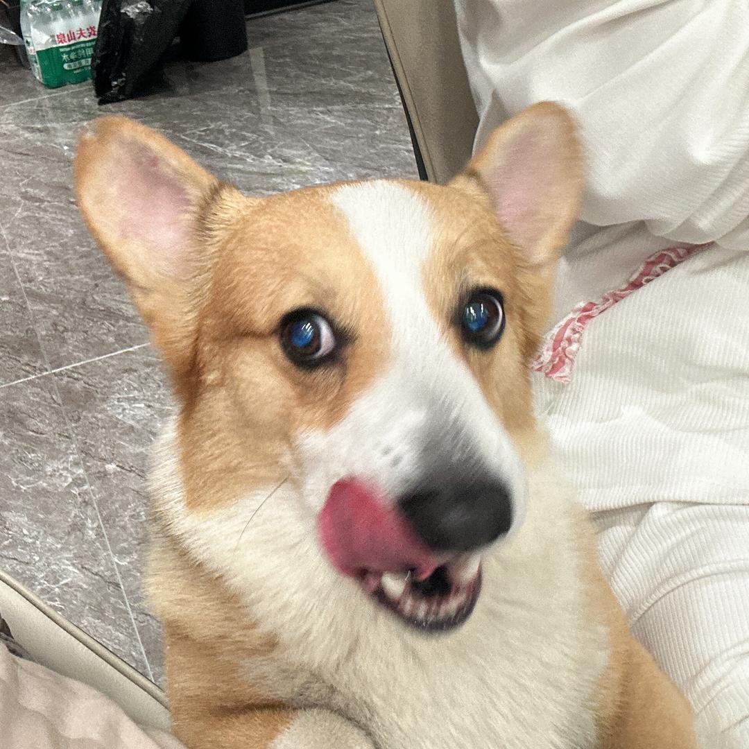 Y～