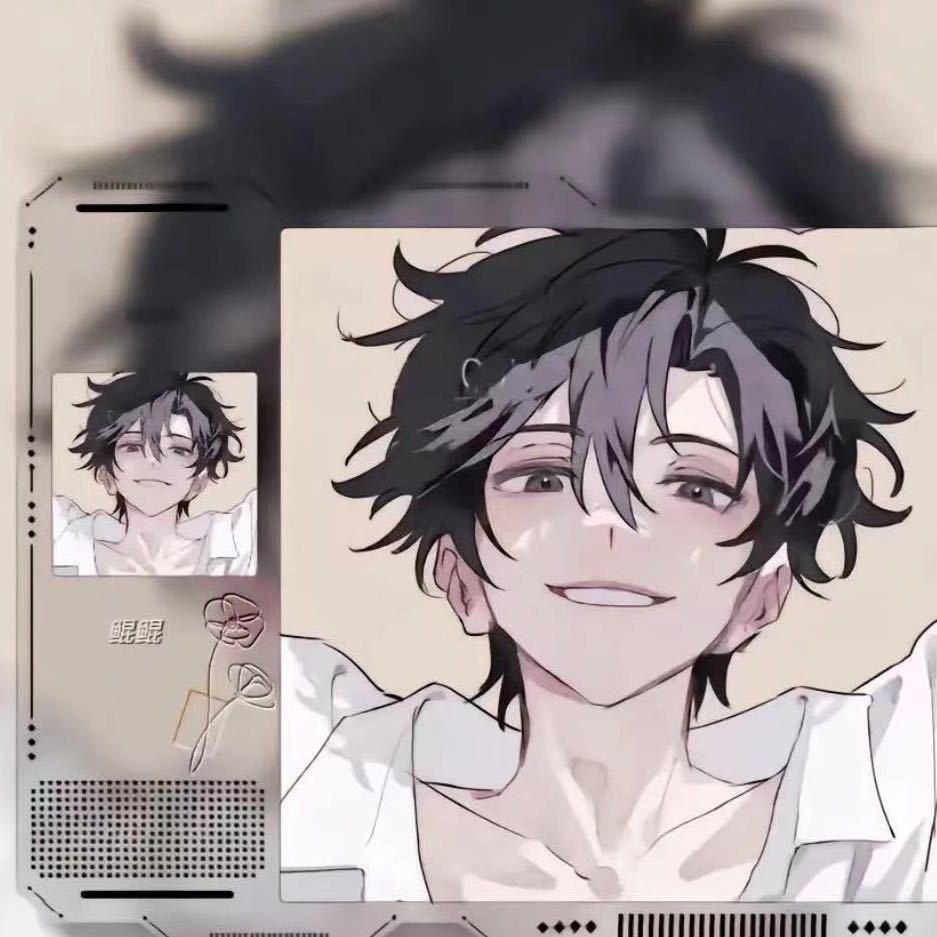 苏木