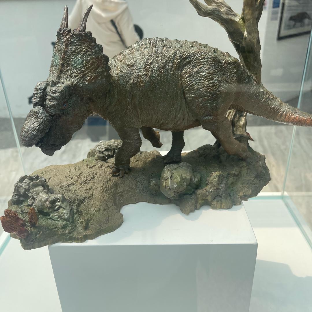 专业承接彩灯 仿真恐龙制作