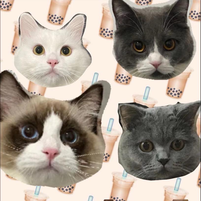 团子今天吃饱没