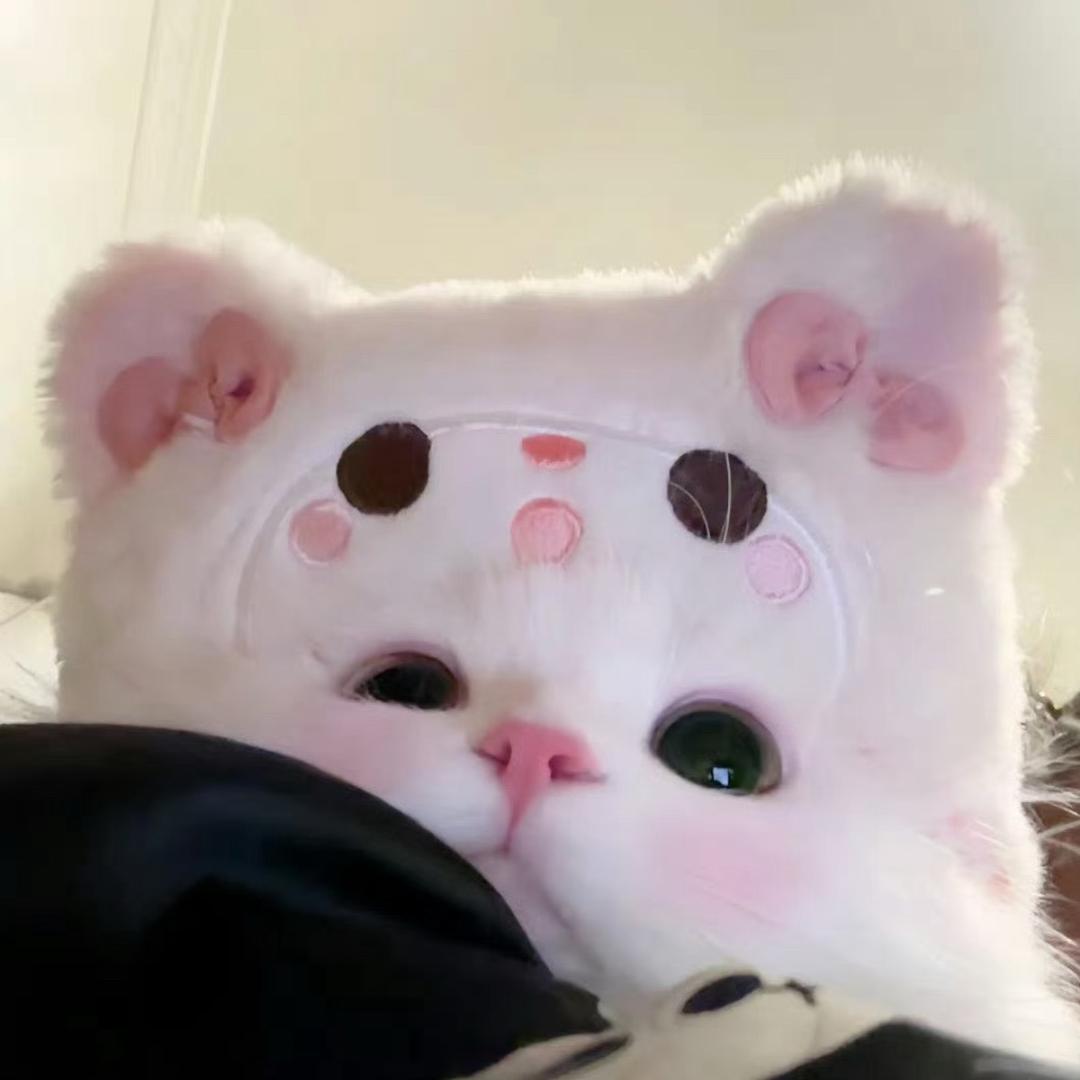 恩宝🐰