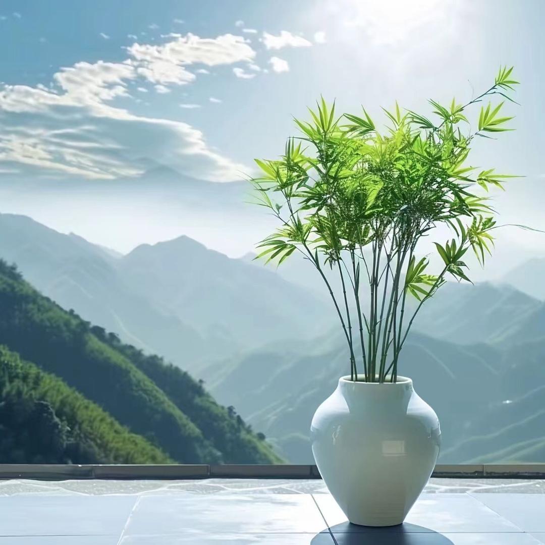 健康守门人