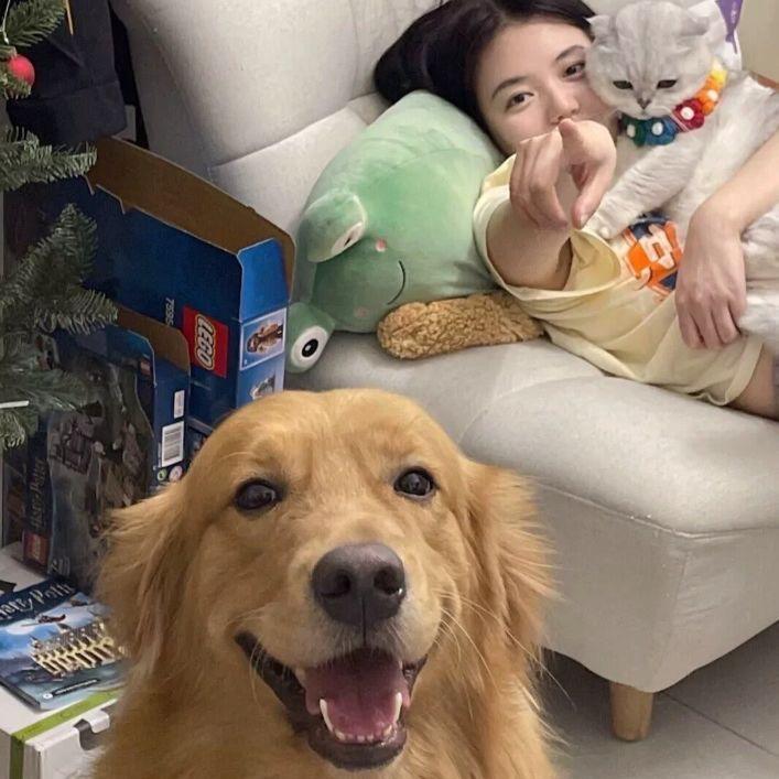 可惜