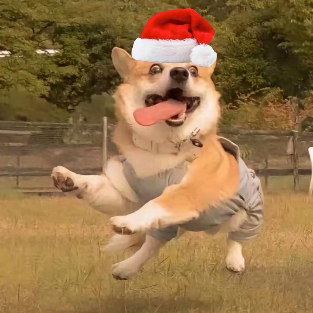 王某