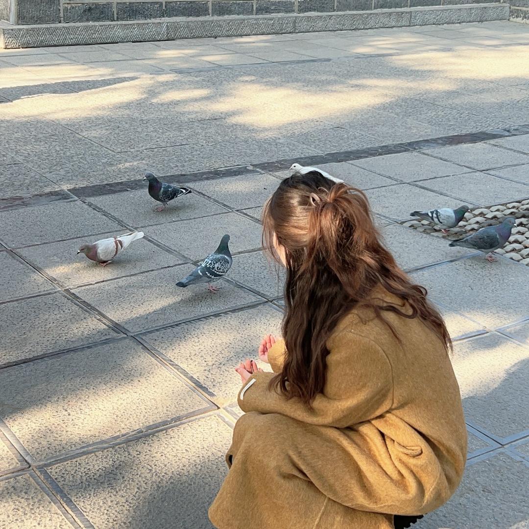 不吃🐟.（镯）