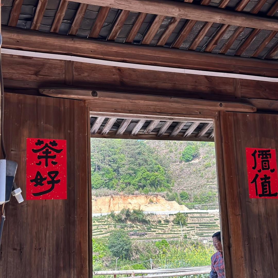 南山有茶