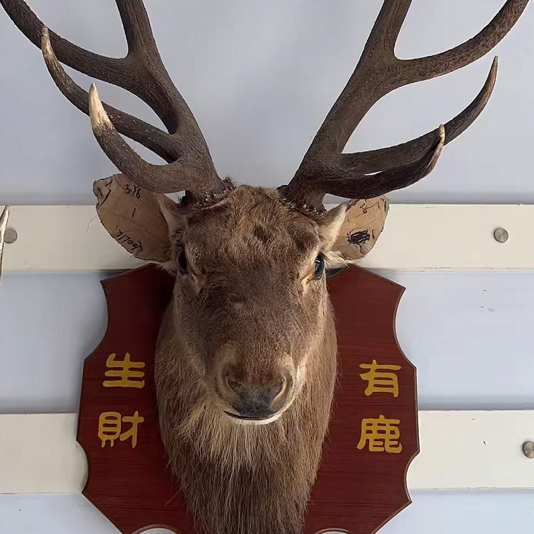 财神爷的学生
