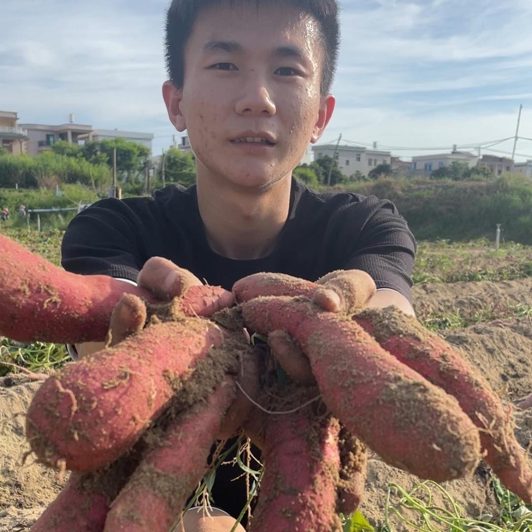 果臻鲜农产品
