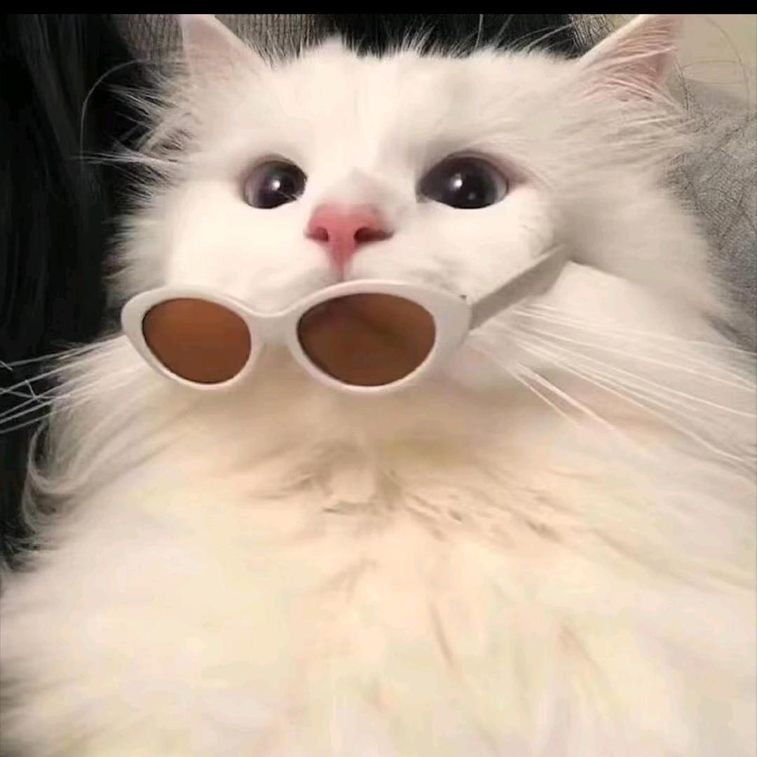 吃了一碗又一碗饭🙈