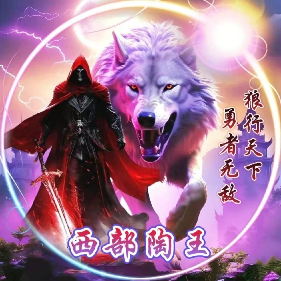 💫西部陶王💫