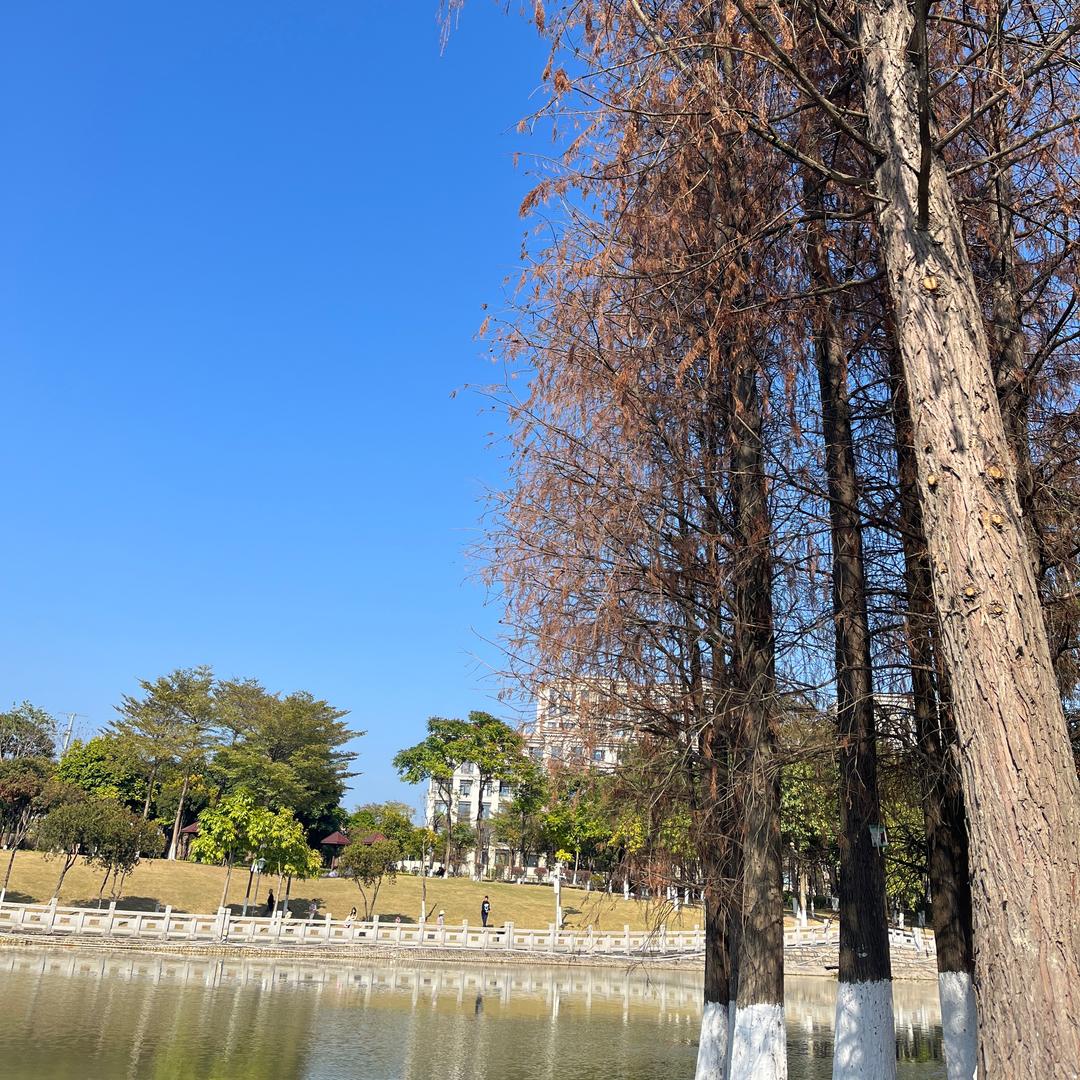 花姐爱生活